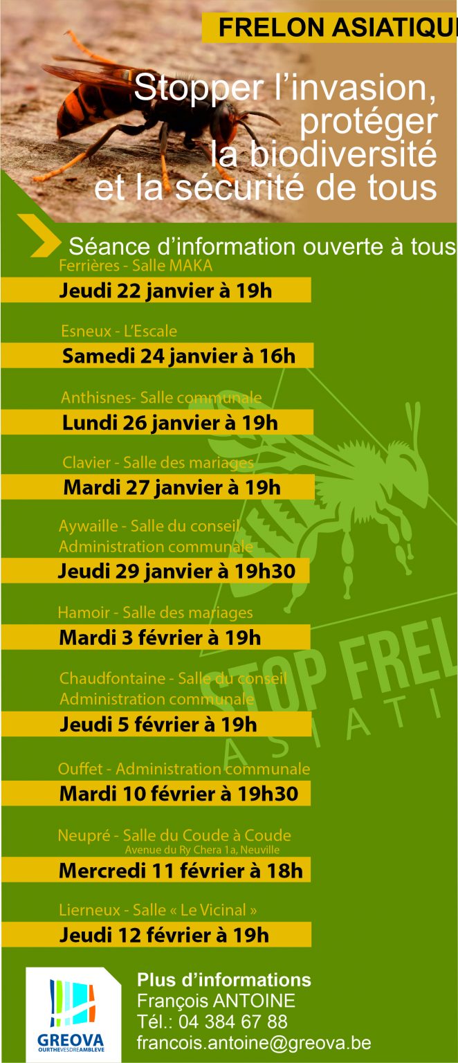 Affiche : Frelon asiatique — Séance d'information