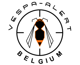 Wer sind wir – Vespa Alert Belgium