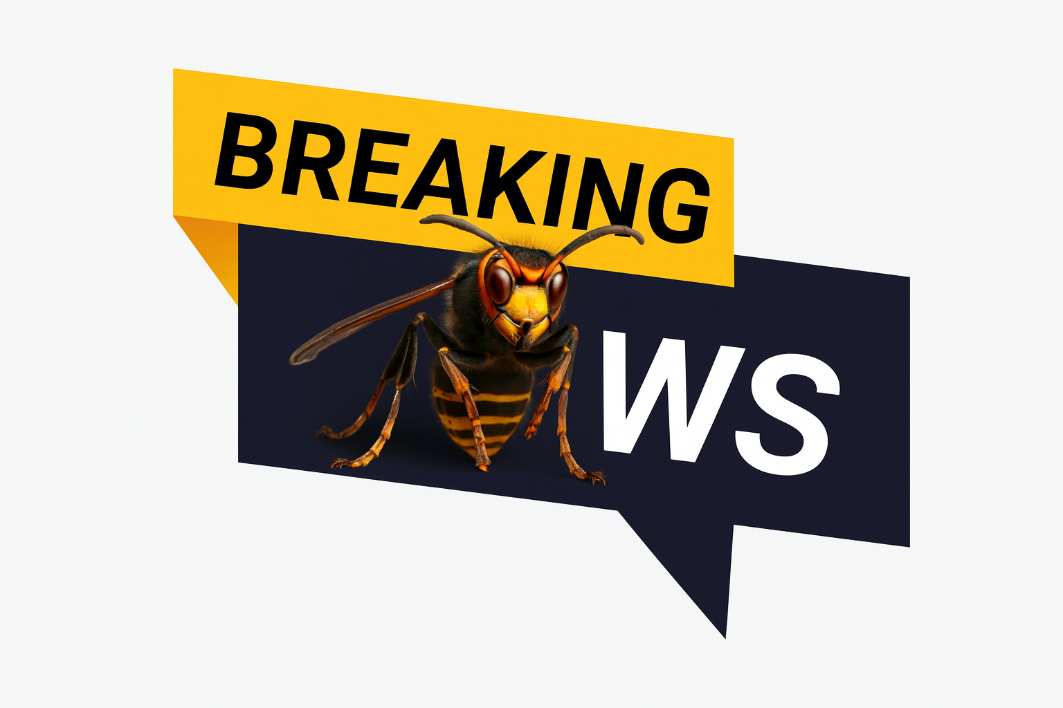 Neuigkeiten Vespa Alert Belgium