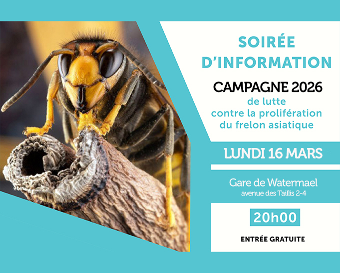 Affiche : Soirée d'information — Campagne 2026 (frelon asiatique)